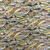 TROUT FISHING FISH - 87440-103